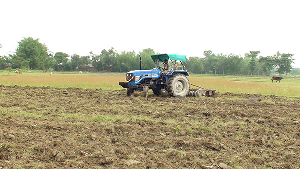 ACE Tractor for Sale Available at Best Price in India