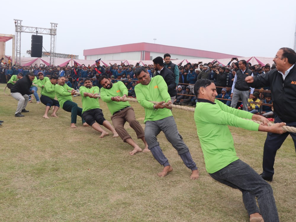 New Year Celebration 2026